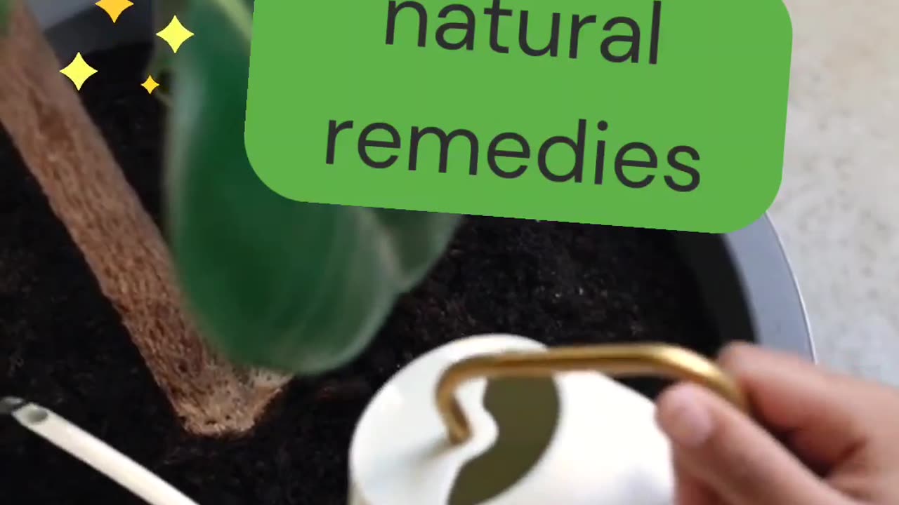 Garden of remedies