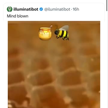 Bees, honey & frequency