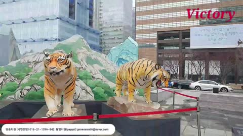 230107... 광화문 광장에서에서 사라진 윤정권무당 과 이상한 도사들..