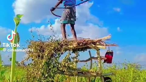 Farmer slinging rope to scare the birds from eating the crops