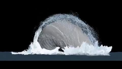 Dangerous Animal in Ocean