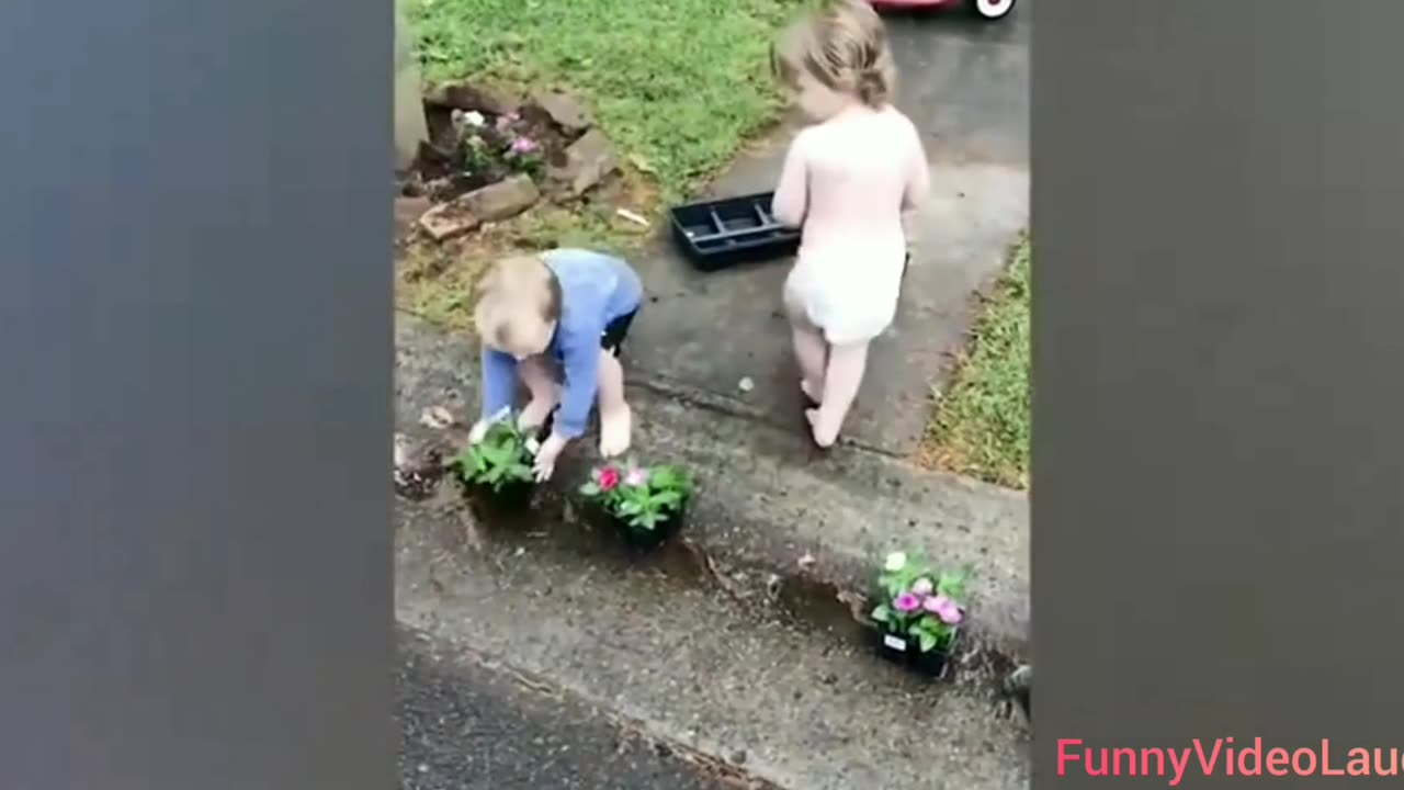 Funny Babies