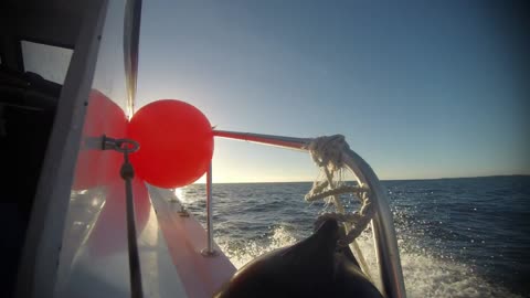 Buceo nocturno en Hawaii con enormes Manta Rayas