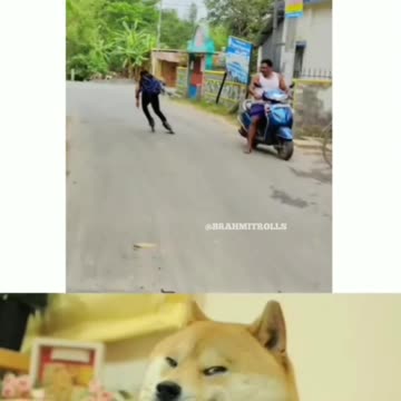 "A Thrilling Pursuit: When Man Skates, Dog Chases!"