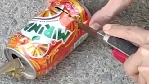 Lizard gets stuck in a can act of kindness