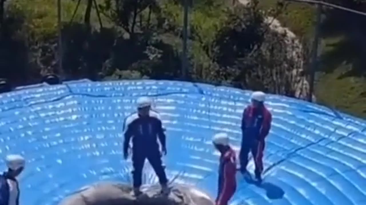 follow me for most viral Amazing and Funny videos. don't under review my video