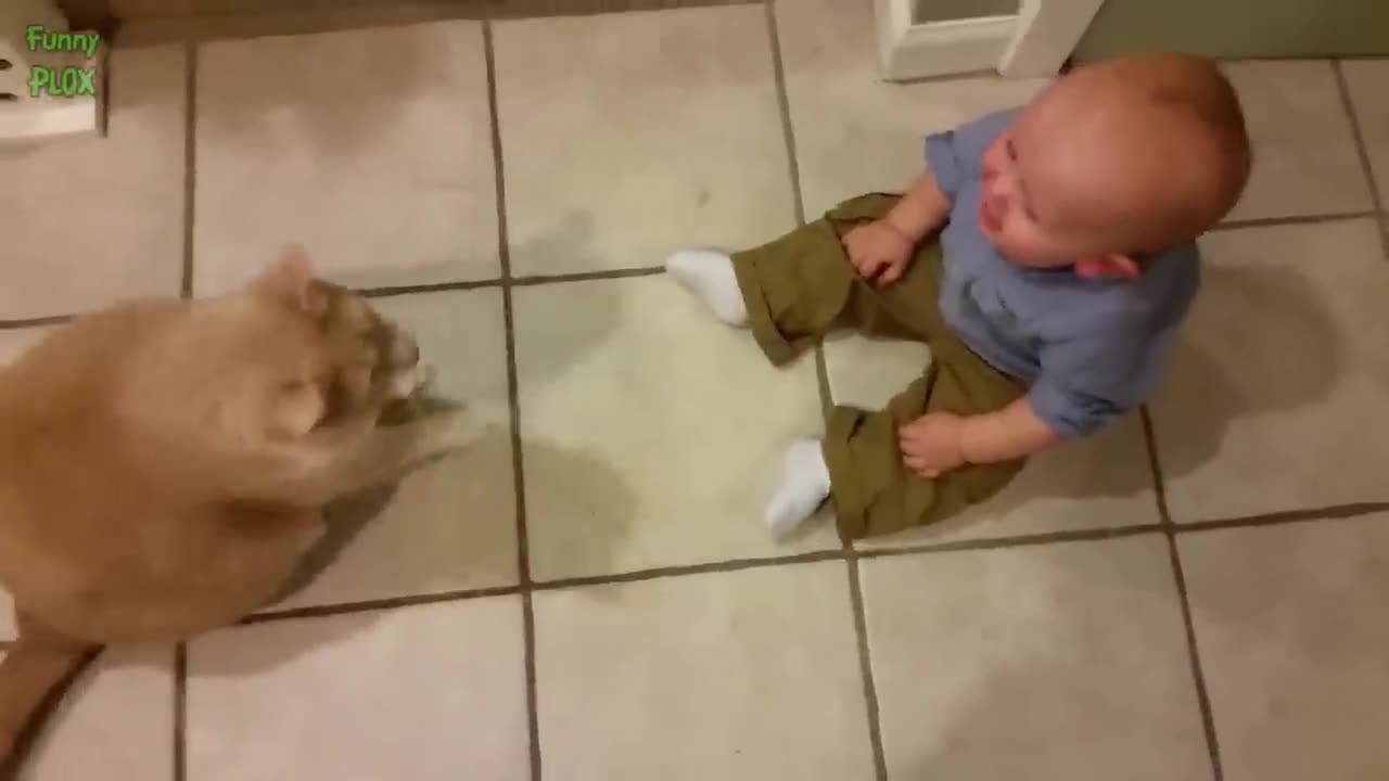 Cute baby Funny moments video with dog