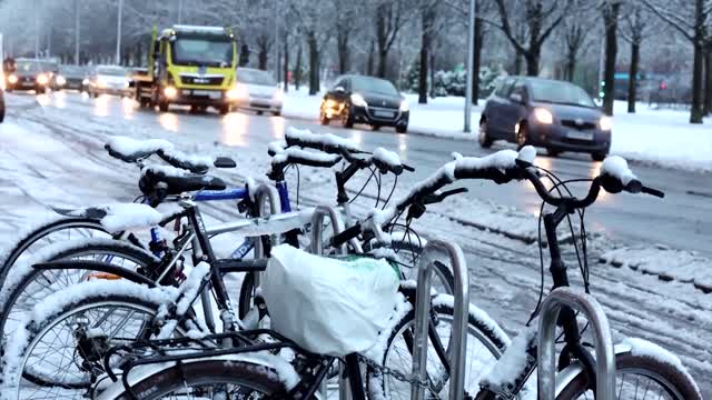 Northern Spain turns white after heavy snowfall