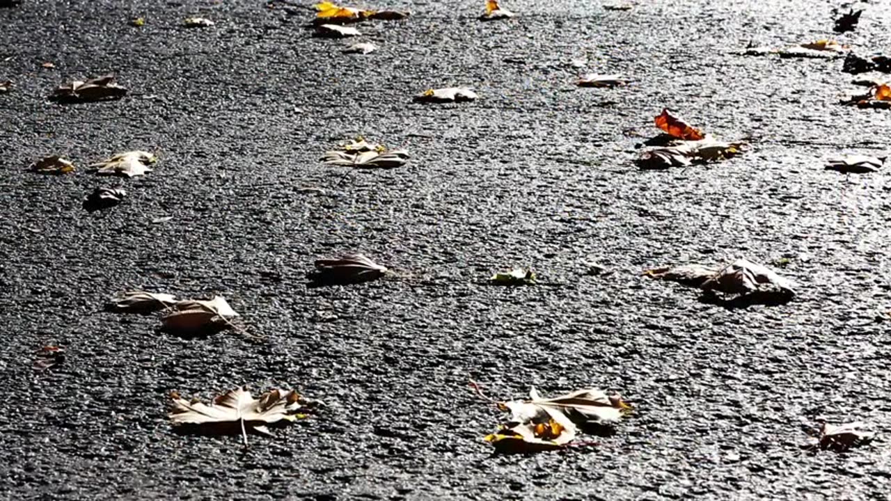 Nachricht an die Teil-Erwachten in diesem Land