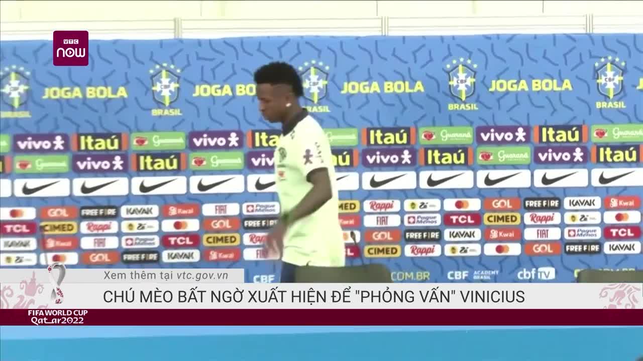 "Phóng viên" mèo xuất hiện trong họp báo trước trận Brazil Vs Croatia | VTC Now