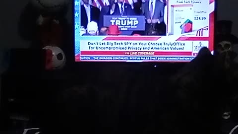 TESLA "CATLICAN" EXCITED TRUMP WON NH! 48 MORE STATES 2 GO! LFGA USA