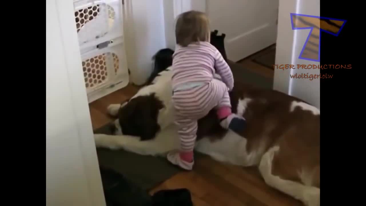 Cute baby annoying dog