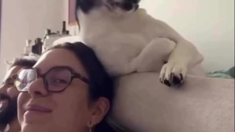 Dog likes the girl 🤣🤣🤣🤣👍