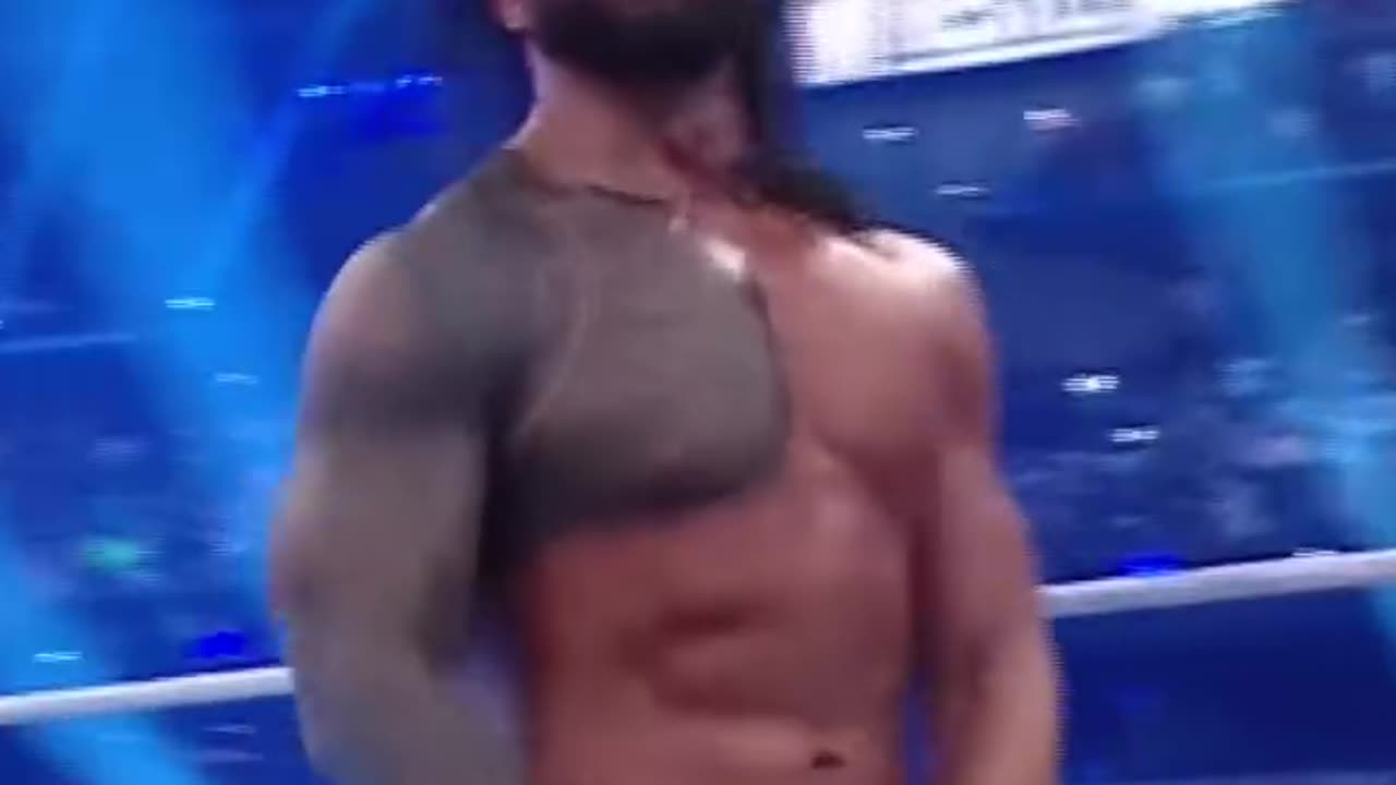 WWE UNDISPUTED UNIVERSAL CHAMPION ROMAN REIGNS