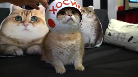 Hosico astronaut