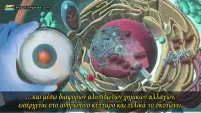 ΠΟΛΕΜΟΥΝ ΤΟΥΣ ΑΝΘΡΩΠΟΥΣ. ΕΜΕΙΣ ΕΙΜΑΣΤΕ Ο ΙΟΣ ΠΟΥ ΘΕΛΟΥΝ ΝΑ ΚΑΤΑΣΤΡΕΨΟΥΝ...…