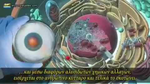 ΠΟΛΕΜΟΥΝ ΤΟΥΣ ΑΝΘΡΩΠΟΥΣ. ΕΜΕΙΣ ΕΙΜΑΣΤΕ Ο ΙΟΣ ΠΟΥ ΘΕΛΟΥΝ ΝΑ ΚΑΤΑΣΤΡΕΨΟΥΝ...…
