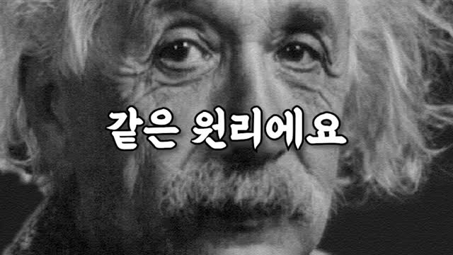 코끼리 귀가 큰이유