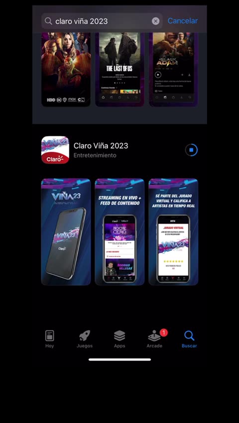 Así puedes votar por Bazurto en Viña del Mar