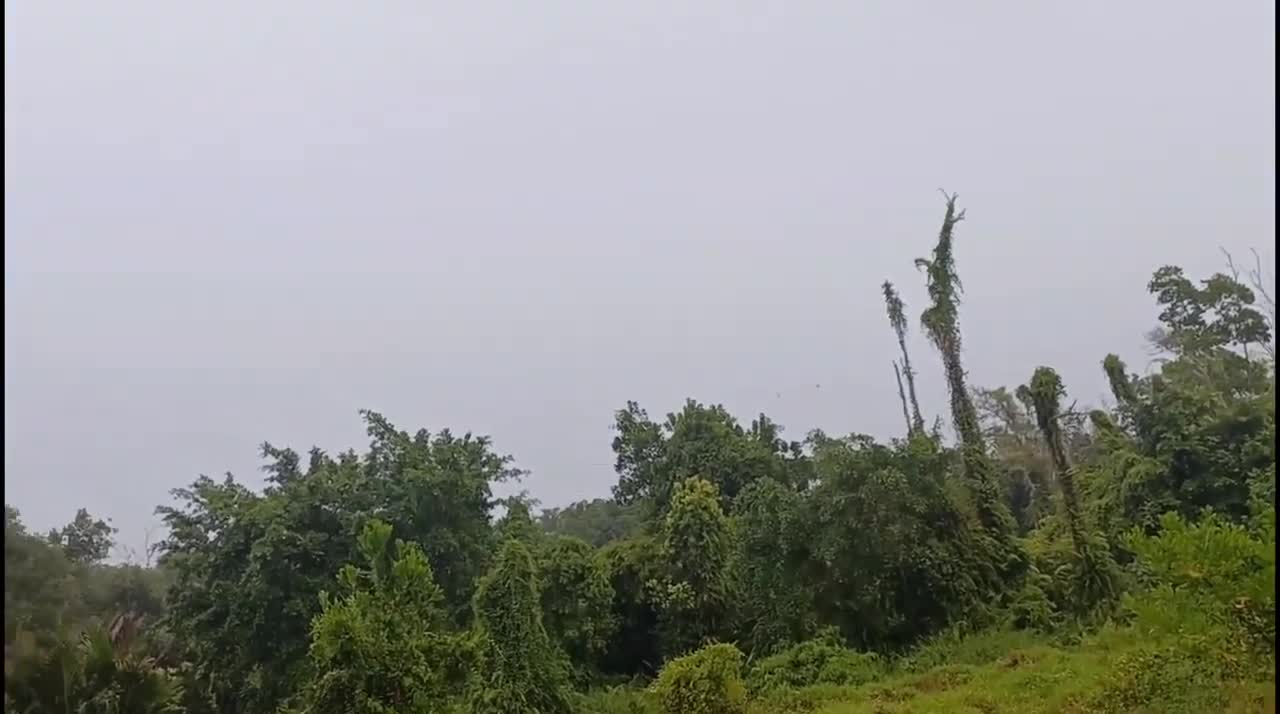 TEMPAT TINGGAL TKI MALAYSIA JIKA BEKERJA JAUH DARI BANDAR KOTA