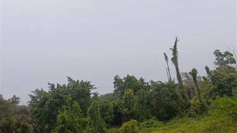 TEMPAT TINGGAL TKI MALAYSIA JIKA BEKERJA JAUH DARI BANDAR KOTA