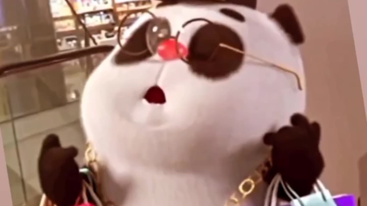 panda funny videos