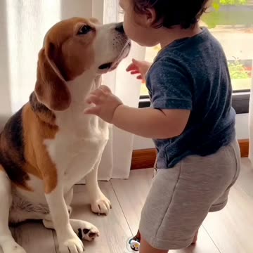 Playing with the dog