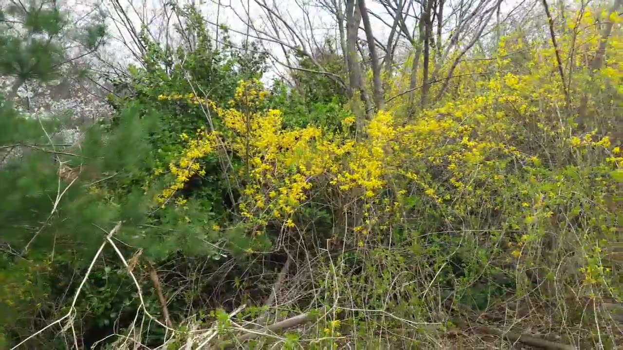 20180407_V3_S01(wq9xyI4n0P8)청와대 가짜 주인은 방을 빼 주세요!!!