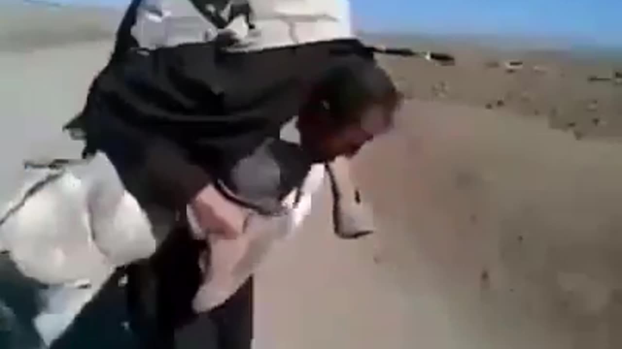 Donkey Sends an Arab for a toss!