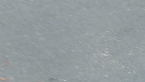 October 3rd Olympia Washington Capitol