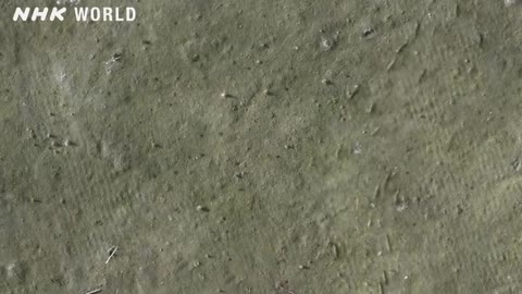 7. The Prehistoric Missile - OUT OF THE CRADLE [人類誕生CG] / NHK Documentary