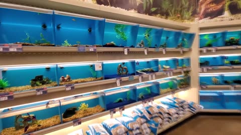 EXPLORING PETSMART