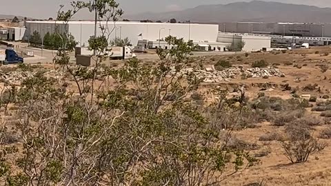 All identity is intertwined