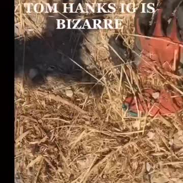 TOM HANKS "CLUES TO WERE THE KIDS WHERE CAPTURED"