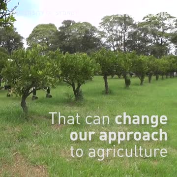 Groundbreaking, farm-loving robots could change the future of agriculture.