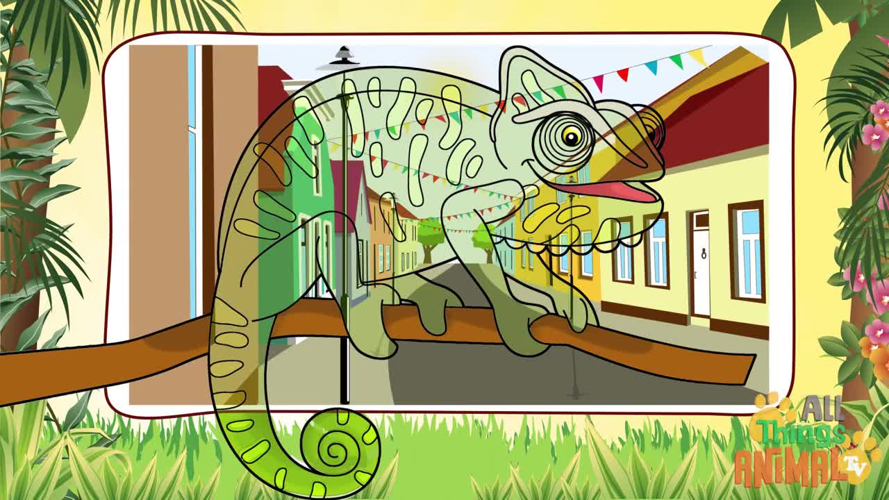 * CHAMELEON * | Animals For Kids | Noraiz