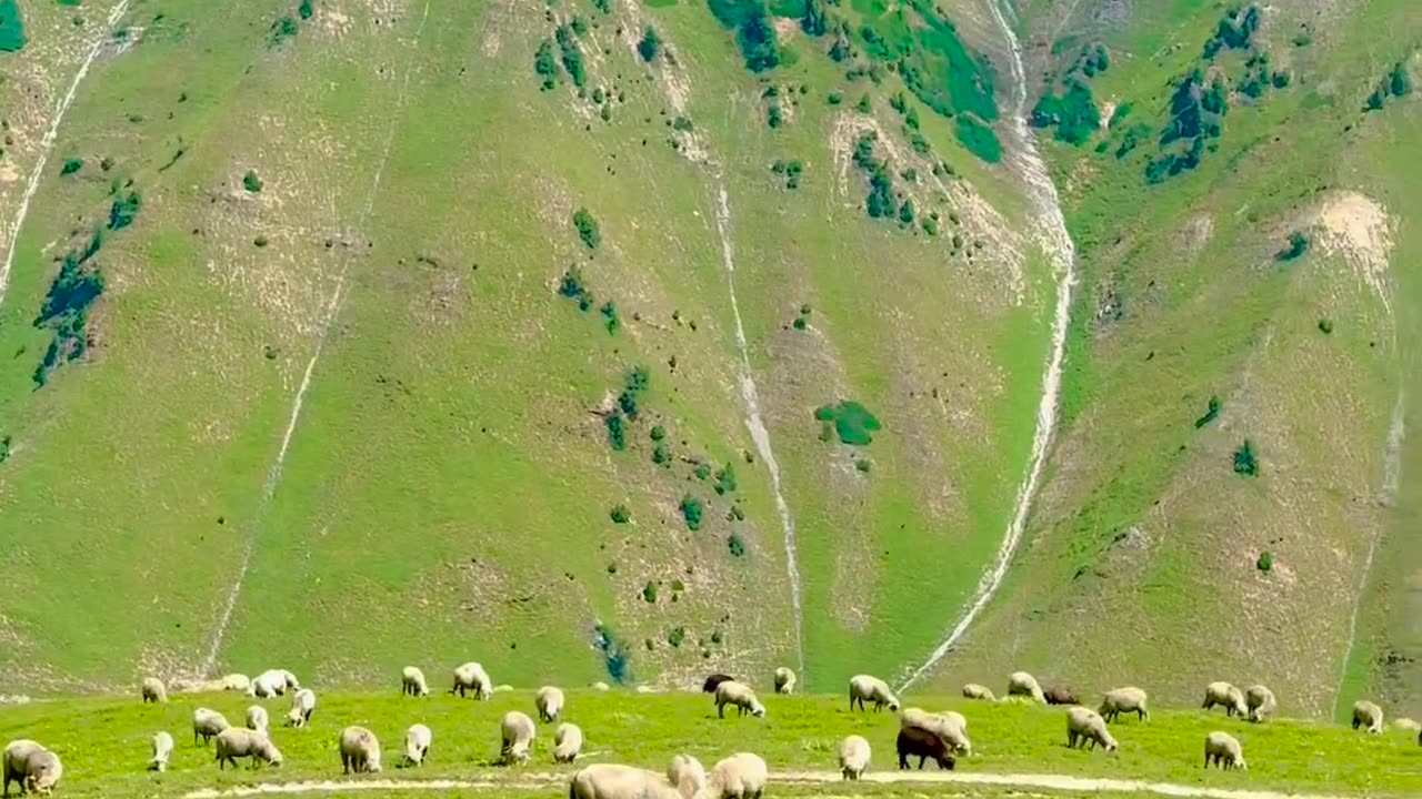 Beautiful views of Kashmir(Sonmarg)