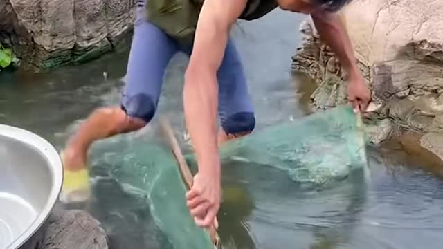 Catching Seafood ASMR Relaxing Catch Shark Catch Fish Deep Sea Monster