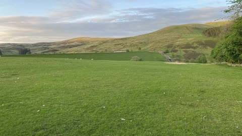 Baddinsgill Reservoir