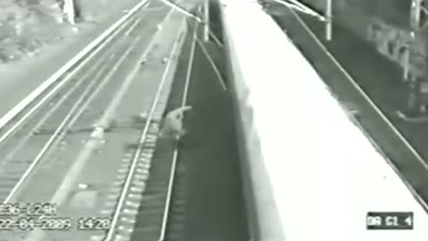 Top 5 Train Close Calls