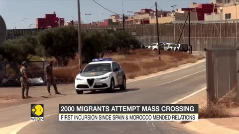 18 migrants die in mass attempt to reach Spain's Melilla | International News | English News | WION