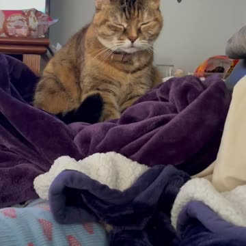 Tina falling asleep sitting up