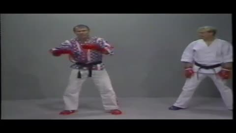 Bill Superfoot Wallace Super Point Sparring Techniques