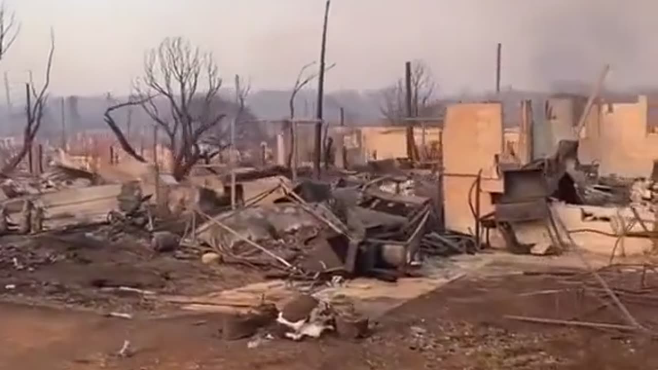 Maui Fires - Still Standing