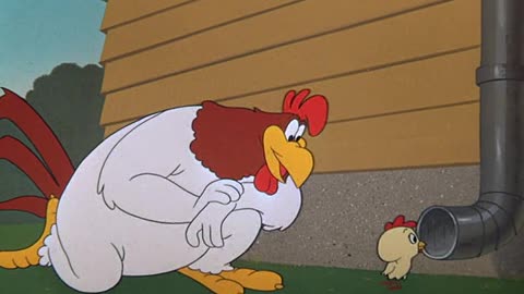 A Broken Leghorn