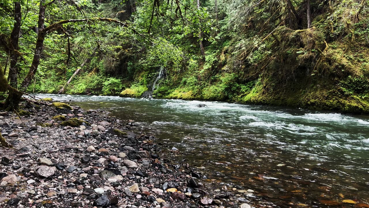 The BEAUTIFUL PEACEFUL South Santiam River Shoreline @ Trout Creek Campground! | Central Oregon | 4K