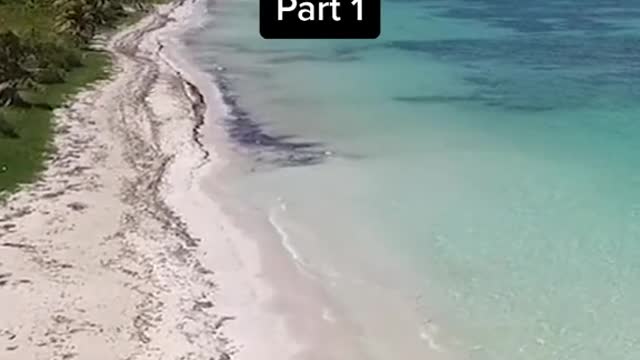 How Things Look in Slow Motion