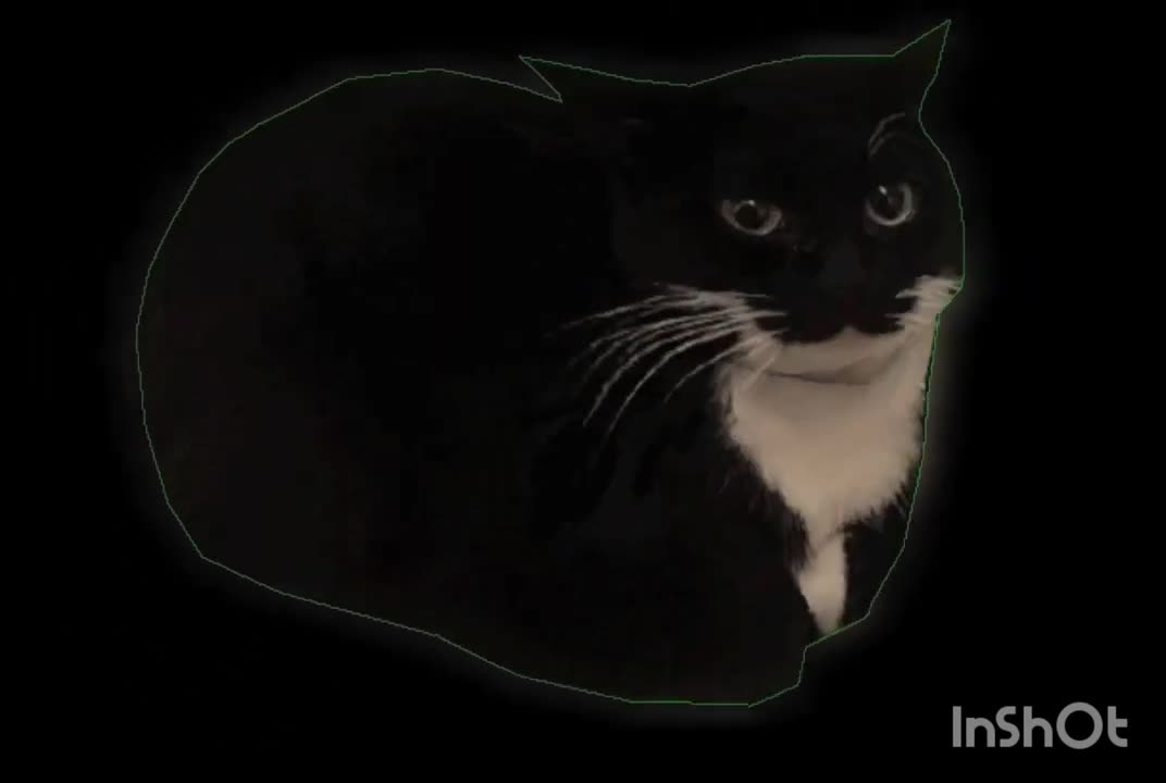 Horizontally Spinning Cat