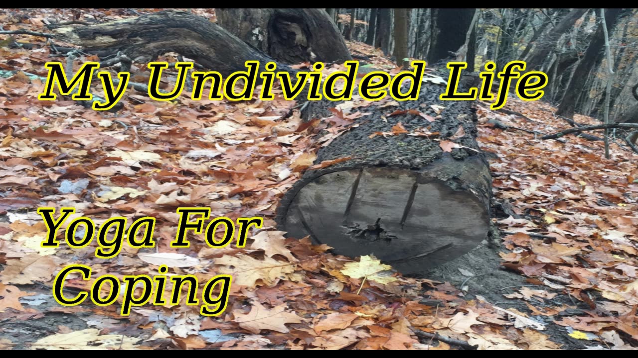 My Undivided Life Yoga For Coping # 3 - Discharge Stress