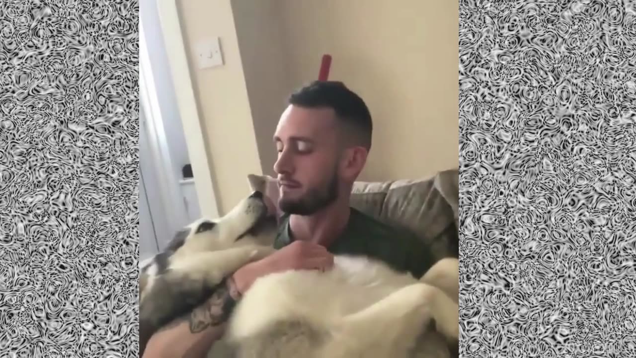 🐶❤️ Watch heartwarming moments as #dogs and owners share unconditional love